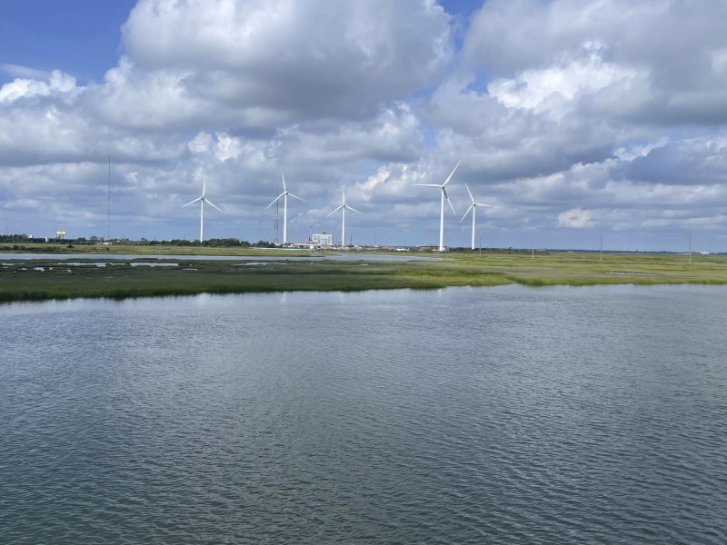 Clean Energy Allergy: In August, the Trump Administration halted work on a nearly completed $4 Billion Wind Farm off the coast of Rhode Island. Here, a Wind Farm is seen on August 25, 2025 in Abescon, New Jersey.
